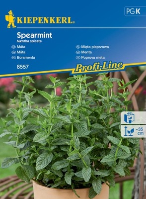 Mięta pieprzowa ,,Spearmint’’- Kiepenkerl