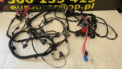 Renault scenic iii 1.4tce электропроводка 403882162r фото №1