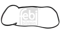 Febi bilstein 08875 прокладка двері фото №1