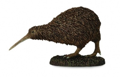 KIWI, COLLECTA