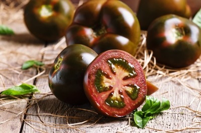 Sadzonki pomidorów - Czarny Książe pomidor czarny rozsada P9