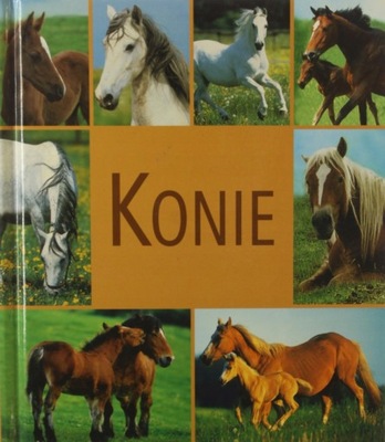 KONIE - JOANNA KRZACZYŃSKA