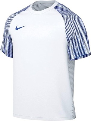 Koszulka Nike Dri-FIT Academy M DH8031 W6B176