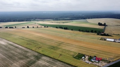 Działka, Jastrzębniki, 5000 m²