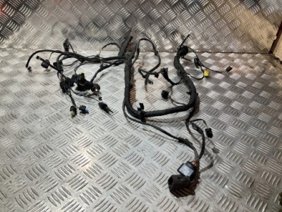 Джгут лонжерон правої bmw x1 f48 2.0 d фото №1