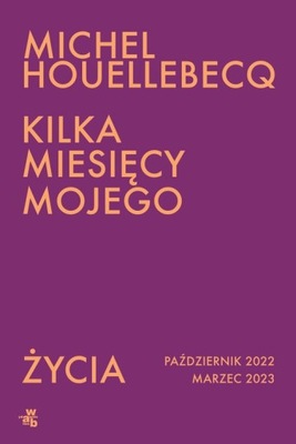 Kilka miesięcy mojego życia