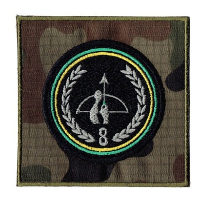 8 Koszaliński Pułk Przeciwlotniczy wz2010 US-21