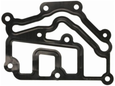 Прокладка термостата renault grand scenic iii ii trafic ii avantime фото №1