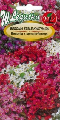 BEGONIA STALE KWITNĄCA MIX GLORIA F1 0,01 g 'L