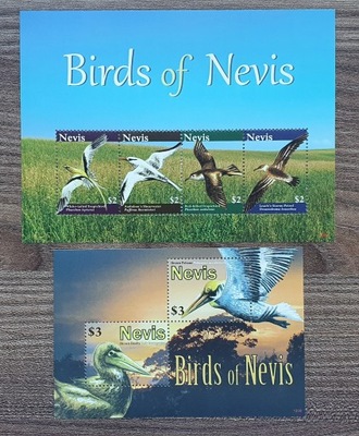 Fauna - Ptak - Ptaki - Nevis
