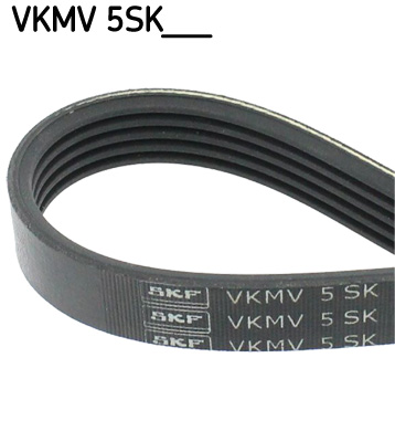 SKF VKMV 5SK705 CORREA DE CUÑA MULTICOSTAL  