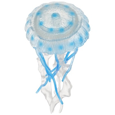 Meduza z akwarium