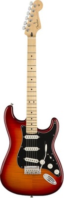 Fender Player Stratocaster PLS TOP MN ACB - Gitara