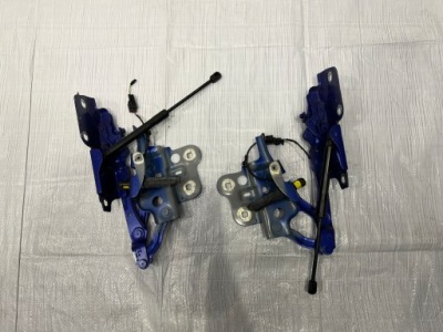 Петля капот лівий lub правий jaguar e-pace фото №1