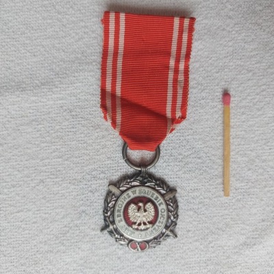 Siły zbrojne w służbie ojczyzny medal srebrny X lat