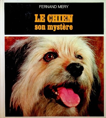 Le chien son mystere