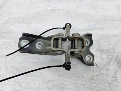 Петлі петля лівий перед kia rio iv 17-22 1.0 tgdi фото №1