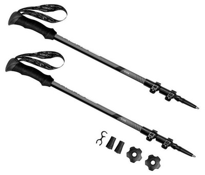 Kije trekkingowe Zion