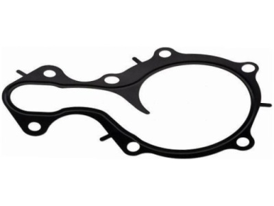 Прокладка насоса wody ford tourneo connect 1.0 courier 1.0 фото №1