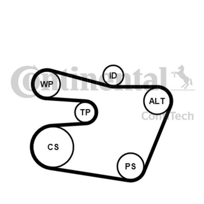 Zestaw paska wielorowkowy CONTINENTAL 6PK1538K1