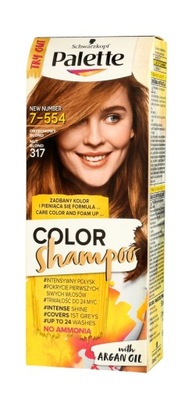 Palette Color Shampoo Szampon koloryzujący nr 317