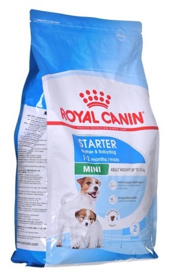 ROYAL CANIN SHN Mini Starter Mother & Babydog - suché krmivo pre psa - 4