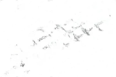 Пружина підвіска задня 4295134 lesjöfors skoda фото №1