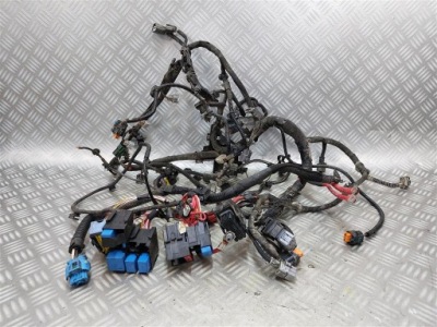 Жгут электропроводка двигателя dacia duster ii 1.0 tce 2017- фото №1