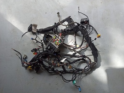 Opel оригінальний номер 13224209 жабо фото №1