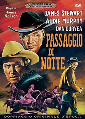 NIGHT PASSAGE (NOCNE PRZEJŚCIE) [DVD]