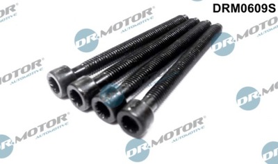 Dr.motor drm0609s żruba, форсунка фото №1