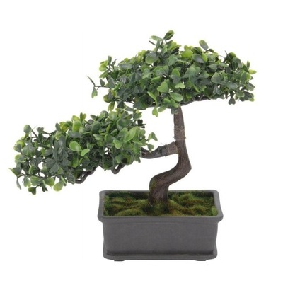 Drzewko bonsai 23cm