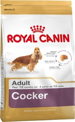 Royal Canin BHN Cocker Adult - sucha karma dla psa