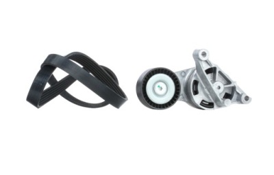 Набор ремень клиновой ridex 542r0044 к vw golf v хэтчбек 1k1 touran фото №1