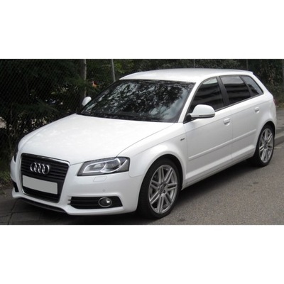 JUEGO ZAROWEK DIOPARA LUMINOSO LED PARA INTERIOR AUDI A3 8P SPORTBACK  