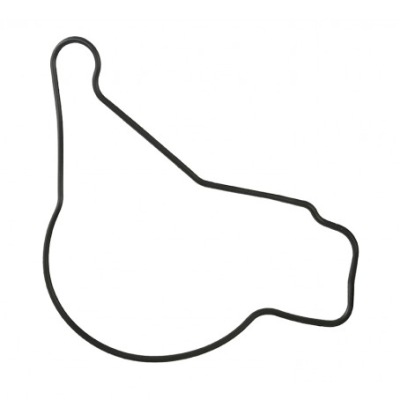 Ущільнювальне кільце насоса mvl1200292 фото №1