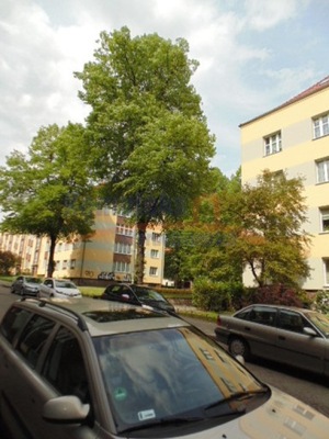 Mieszkanie, Szczecin, Niebuszewo, 52 m²