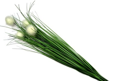 sztuczna trawa pampasowa 69cm gęsta trawy