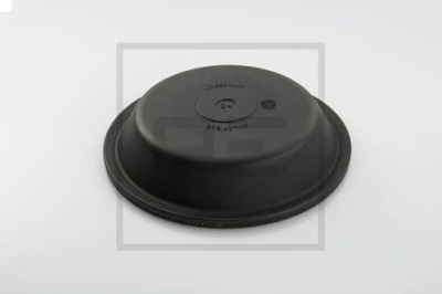 Мембрана цилиндра 20" пластина pe automotive 076.406-10a фото №1