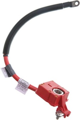 Запобіжник акумулятор клема плюсова bmw x5 e70 e71 фото №1