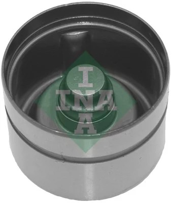 INA 420 0170 10 PUSH ROD VALVES DB  