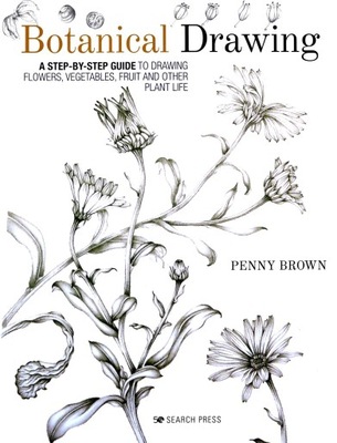 BOTANICAL DRAWING: A STEP-BY-STEP GUIDE TO DRAWING