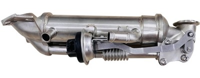 Радіатор вихлопних газів egr peter steiner дизель europejska фото №1