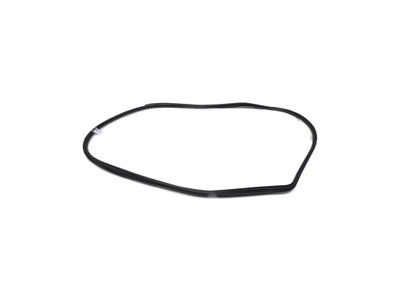 Прокладка дверь правый перед hyundai santa fe ii фото №1