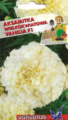 NASIONA AKSAMITKI AKSAMITKA WIELKOKWIATOWA VANILIA 0,1G