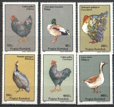 Rumunia Mi. 5111-5116 MH czyste ** fauna, ptaki