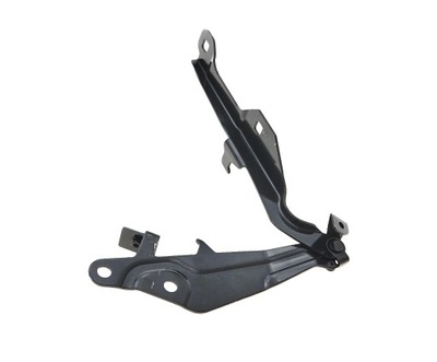 Ford mustang 18- петля капот фото №1