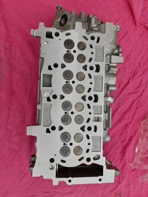 OPEL GALVUTĖ VELENAI 2,0 55514266 F20DVH LSQ 