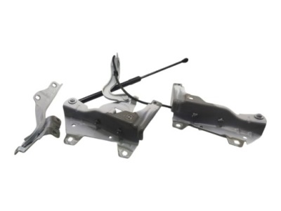 Петля петлі капот лівий правий комплект renault express ii 2021-2024 фото №1