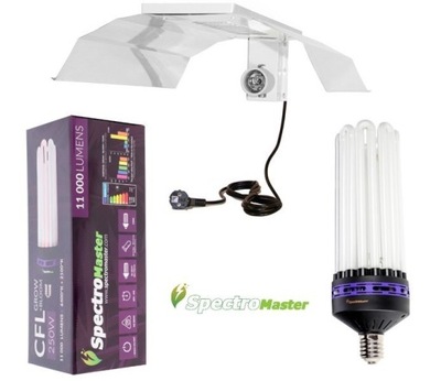 Zestaw CFL Spectromaster 250W - Dual